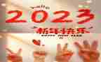 2023年财经纪律自查报告优质5篇