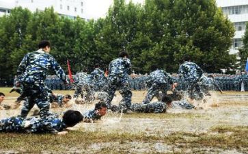 军训心得体会800模板6篇